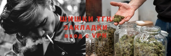 индика Кукмор