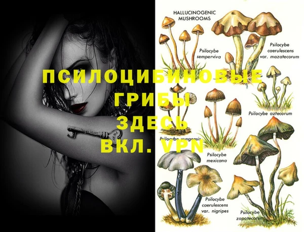 соль ск Куйбышев