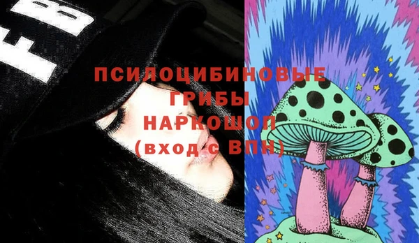 стаф Кулебаки