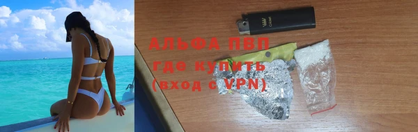 индика Кукмор
