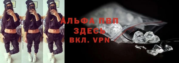 стаф Кулебаки
