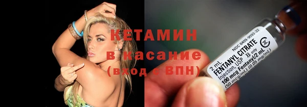 индика Кукмор