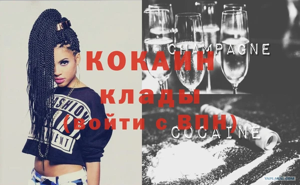 индика Кукмор