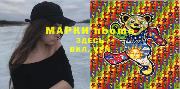 индика Кукмор