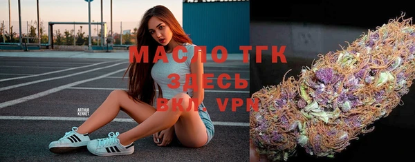 стаф Кулебаки