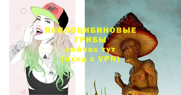 соль ск Куйбышев
