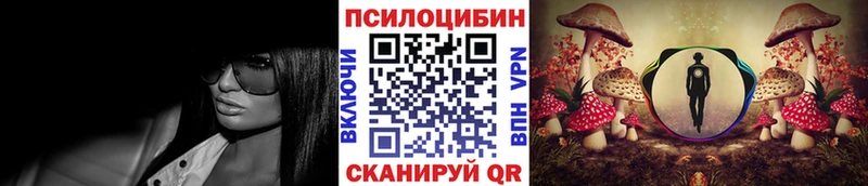 Псилоцибиновые грибы мухоморы  Купить  Магас 