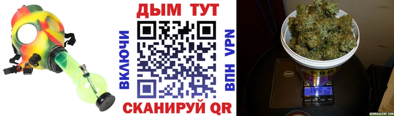Купить где  Магас  Канабис THC 21% 